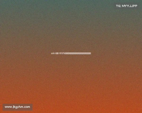 wkn赛事-WKN世界顶级搏击盛典全球高手齐聚巅峰激战荣耀之路